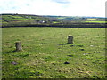 SW6836 : Part of Nine Maidens stone circle by Rod Allday