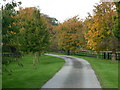 The way to Tickton Hall