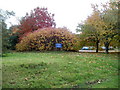 Out-of-place blue amongst autumn colours, Ty Coch Lane, Llantarnam