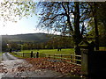 Lane down to White Hall, Leaden Knowl, Chinley