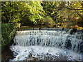 Weir on Black Brook