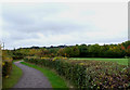 Sweyne Park Bridleway