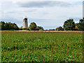 Farmland, Hickling, Norfolk