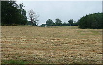 SU5371 : Farmland near Wellhouse (1) by Stephen Richards