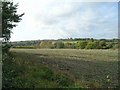 View towards Blockley from lane from Draycott