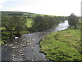 NY8595 : The River Rede downstream of Elishaw Bridge by Mike Quinn