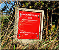 Gas pipeline marker, Islandmagee