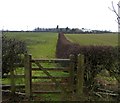 Fields and White Lodge Farm