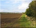 Field off Kirby Lane