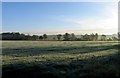 Fields by Whissendine Road