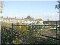 Allotments - end of Longfield Road