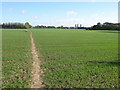 Footpath to Molineux Road, Minster