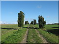 Footpath to Springfield Cottage