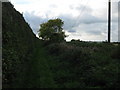 Stour Valley Walk towards the Little Stour River