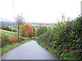 Autumn colours along the road