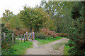 Paths and gate, Headley Heath