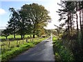 Dere Street near Shotheids