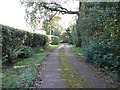 Bridleway near Dodge