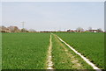 Footpath through wheat, Milton Street