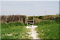 Stile on the path to Milton Street