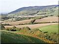 View towards Selworthy