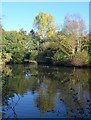 Pottery Pond