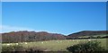 The Gwinllan Cae-garw woodland with Mynytho Common in the background