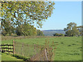 2010 : Looking east near Knoll Hill Farm