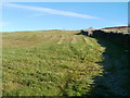 Moorland field, NE Blaenavon