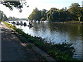 The Thames Path