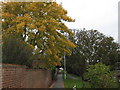 Footpath to Bysing Wood Road - in Autumn