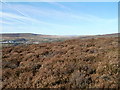 Looking south from high ground, Upper Coedcae