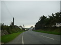 Tree- lined road A487