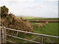 Farmland at Fferm Bryn Goronwy