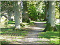 Path to the church, Redmire