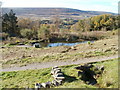 Pond near entrance to Blaenavon Community Woodland