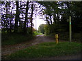 Footpath to Strickand Manor Hill & entrance to Park Cottage