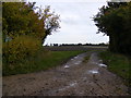 Footpath to Sandy Lane