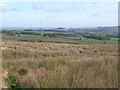 Moorland above Dewsgreen Burn