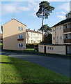 Tree and flats, Bacon Place, Newport