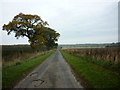 SE9036 : Cliffe Road near North Newbald by Ian S