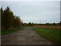 SE8936 : The way to Moor Farm, Cliffe Road, North Newbald by Ian S