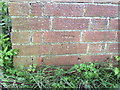 Benchmark on ruined barn in field of Eythrope Road