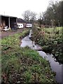 Caldon Mill lade