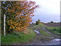 Footpath to the B1119 Saxmundham Road