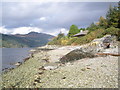 Shoreline at Portincaple Loch Long