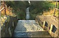 Weir on the Town Loch,in Townhill .