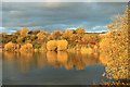 Autumnal colours on the Town Loch, Townhill