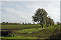 Fields near East Halton