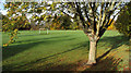 Playing Field in Crieff